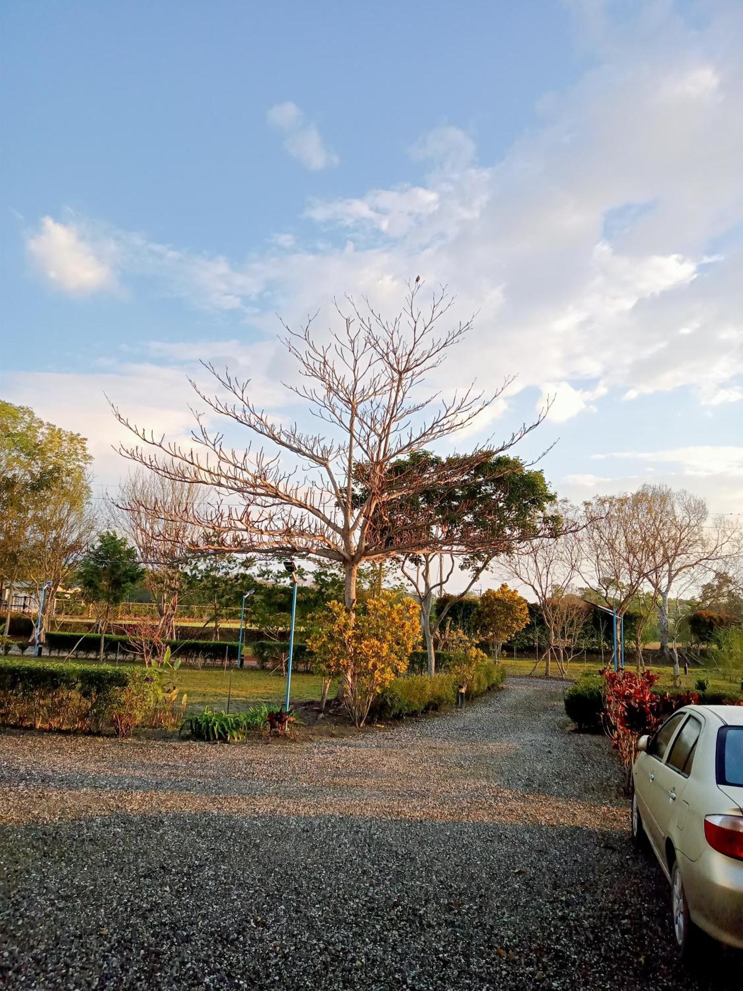 Maple Feeling Vacation Farm Guest House Guangfu Exterior photo