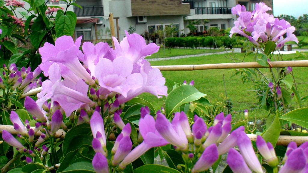 Maple Feeling Vacation Farm Guest House Guangfu Exterior photo